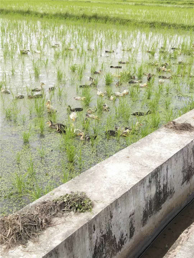 微信图片_202009191603047.jpg