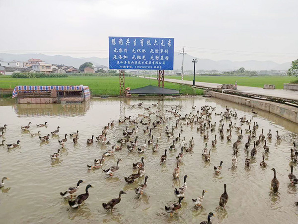 养殖基地