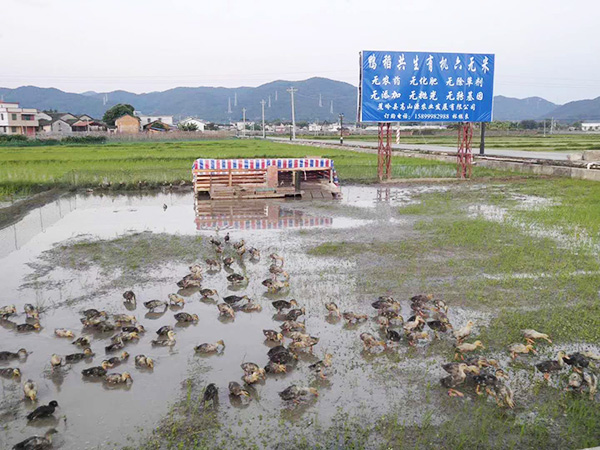 养殖基地