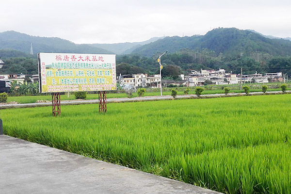 种植基地