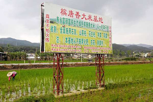 种植基地