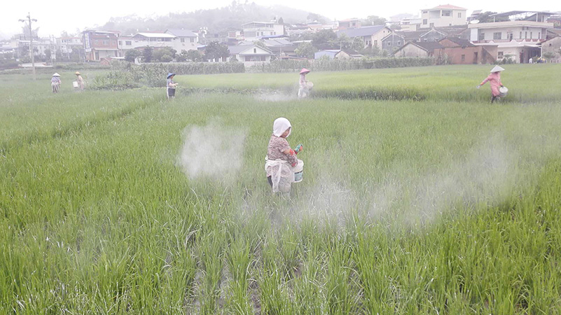 种植基地